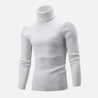 Suéter Masculino Pullover de Gola Alta Ferrutini FRT231