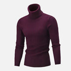 Suéter Masculino Pullover de Gola Alta Ferrutini FRT231